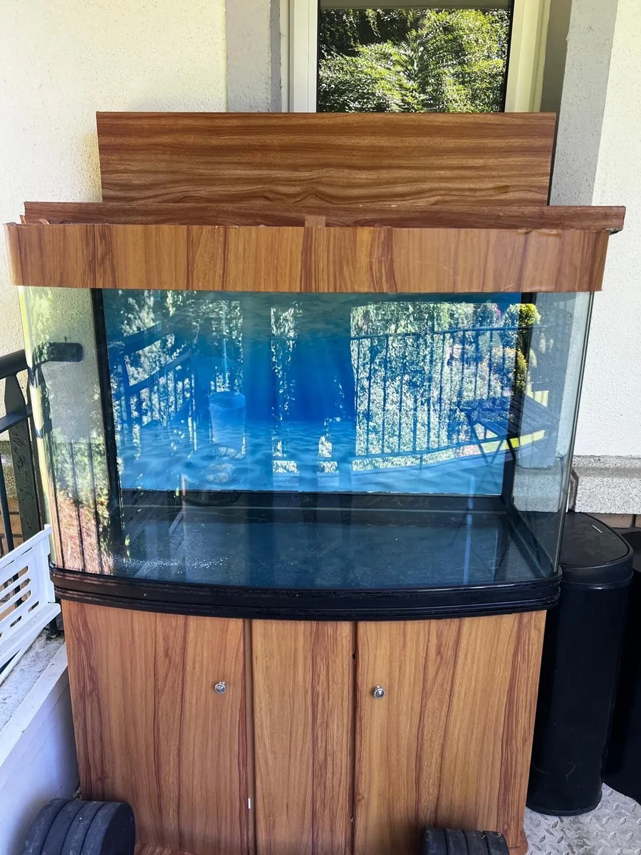 Fish tank - Image 1