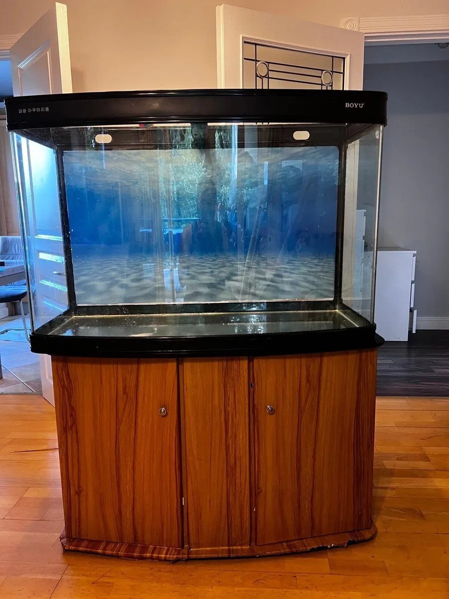 Fish tank - Image 2