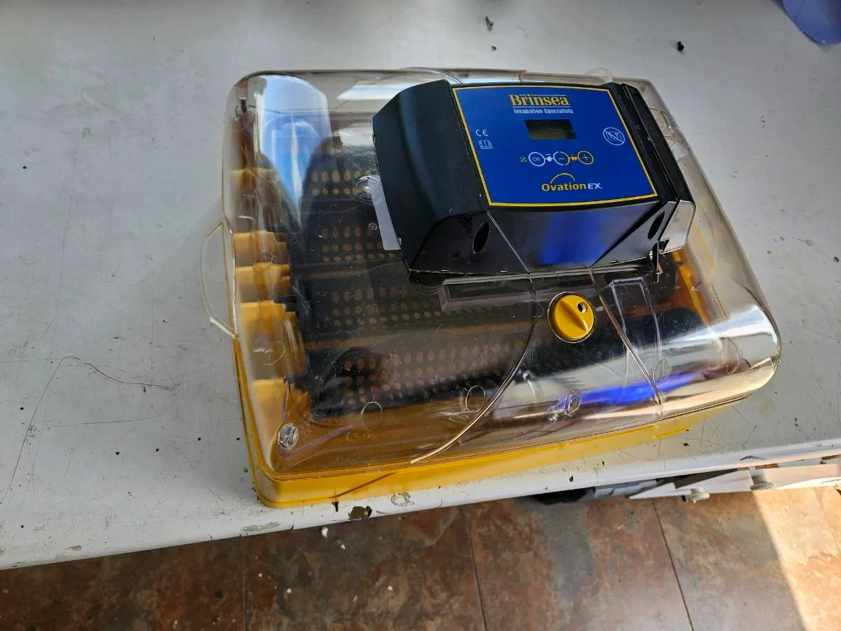 Poultry Incubator - Image 3