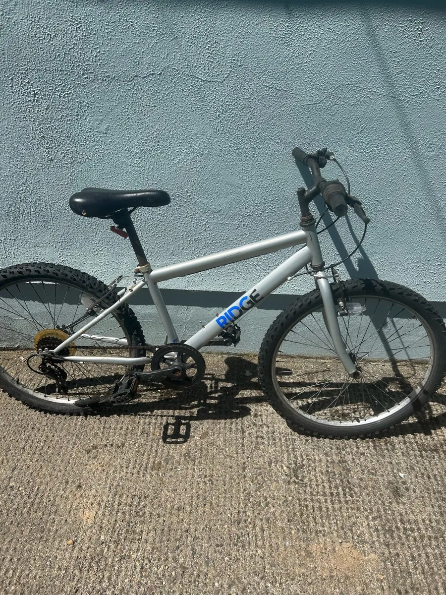 Mountain bike - Image 1