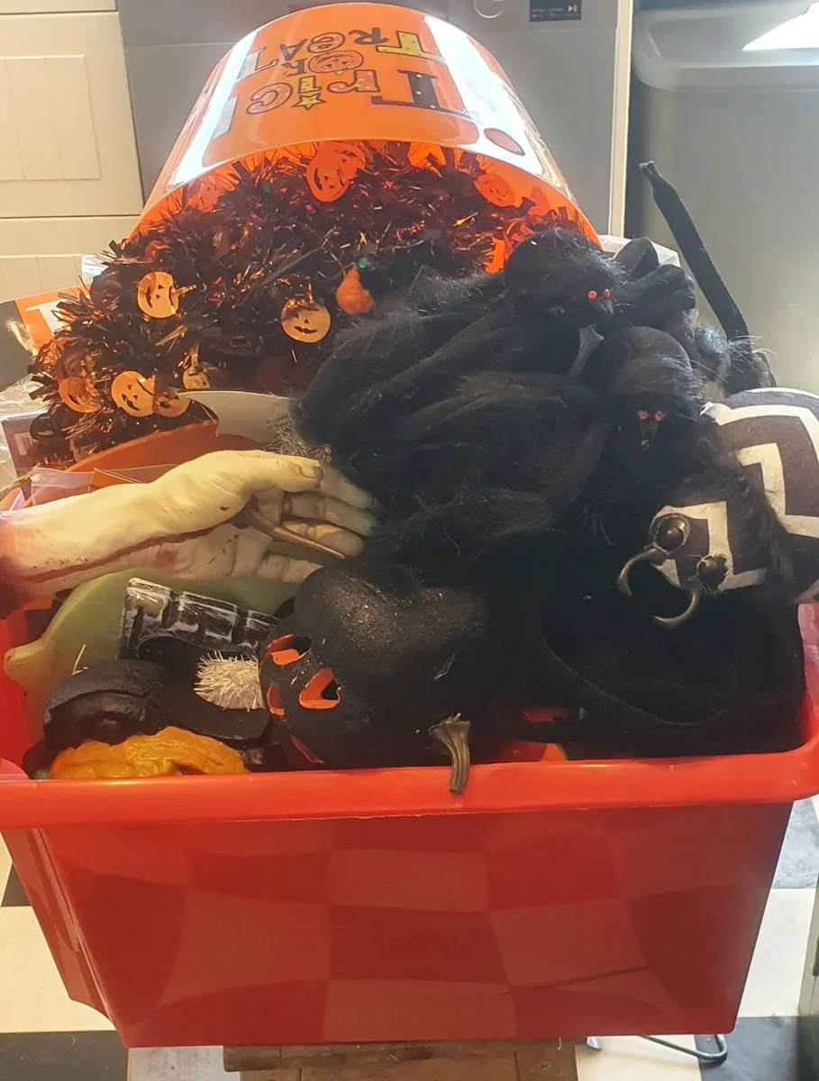 Huge Halloween Decoration Bundle with storage Box - Image 2
