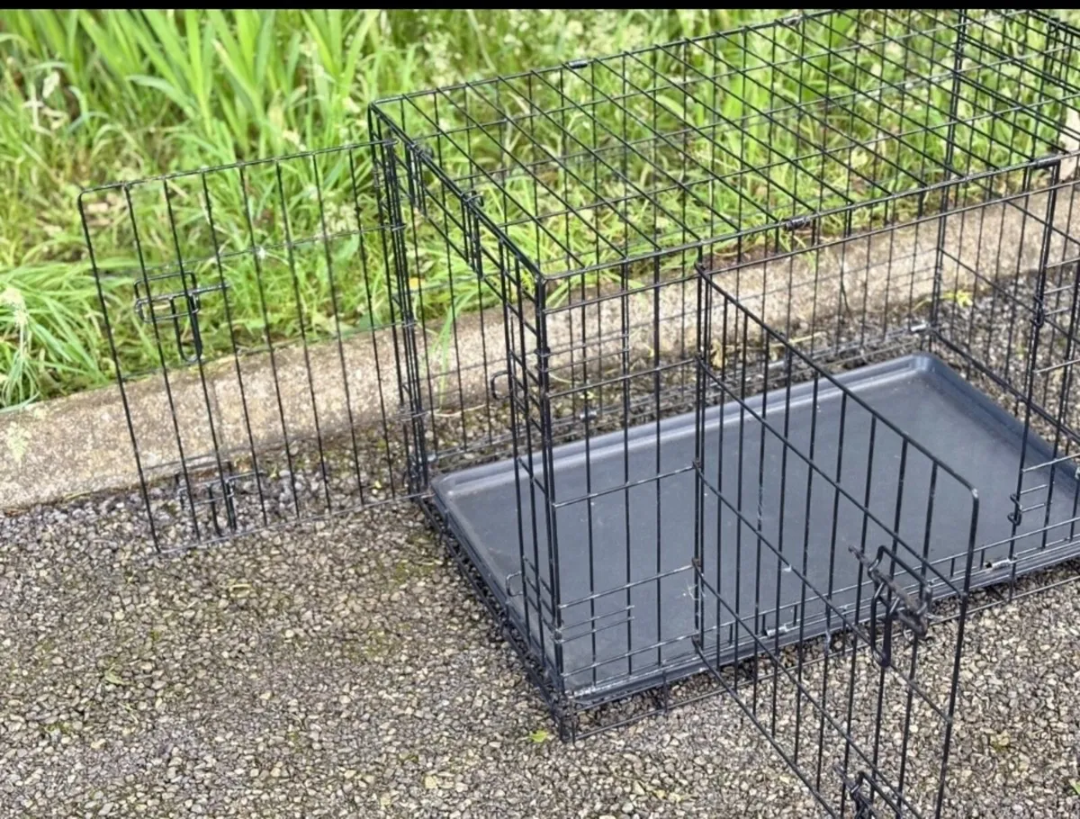 Cage - Image 3
