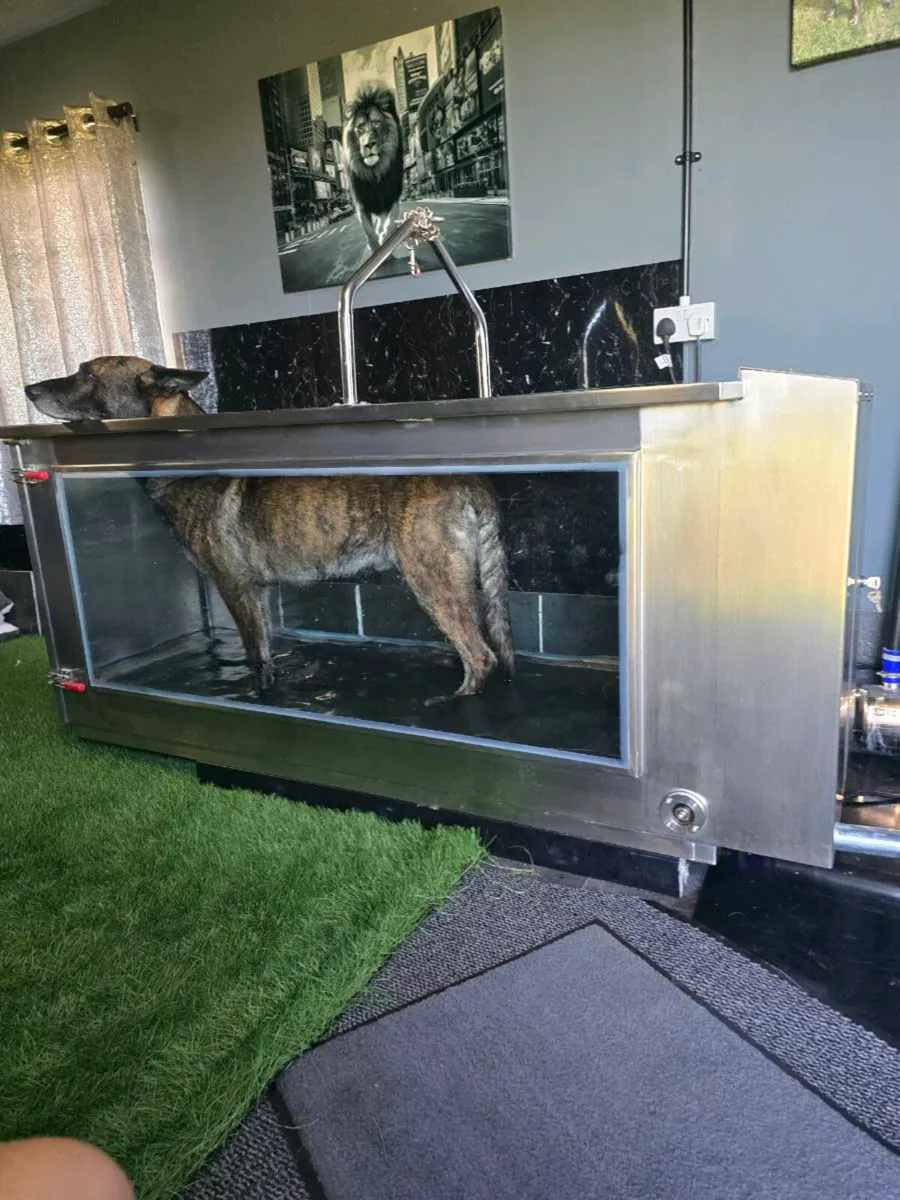 Water /Hydro Treadmill Dogs - Image 1