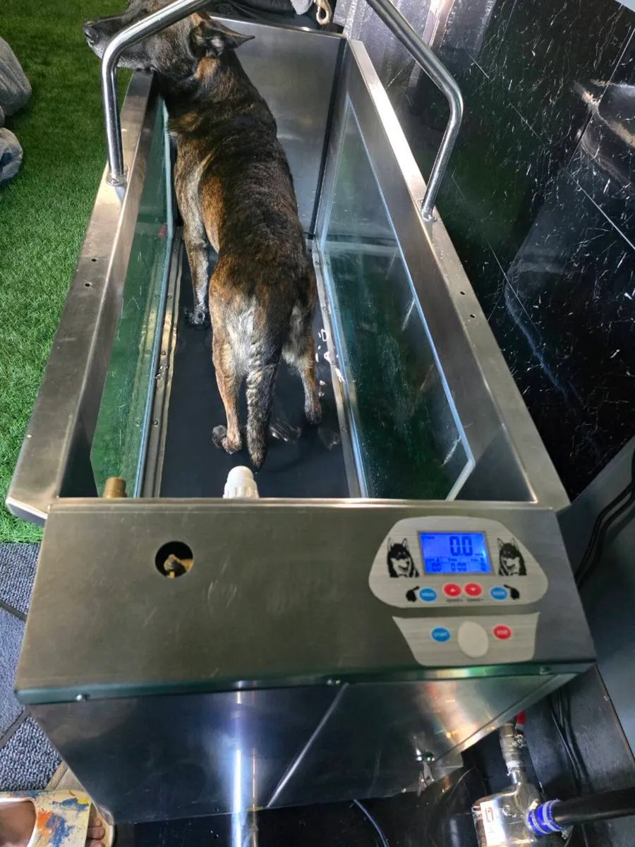 Water /Hydro Treadmill Dogs - Image 2