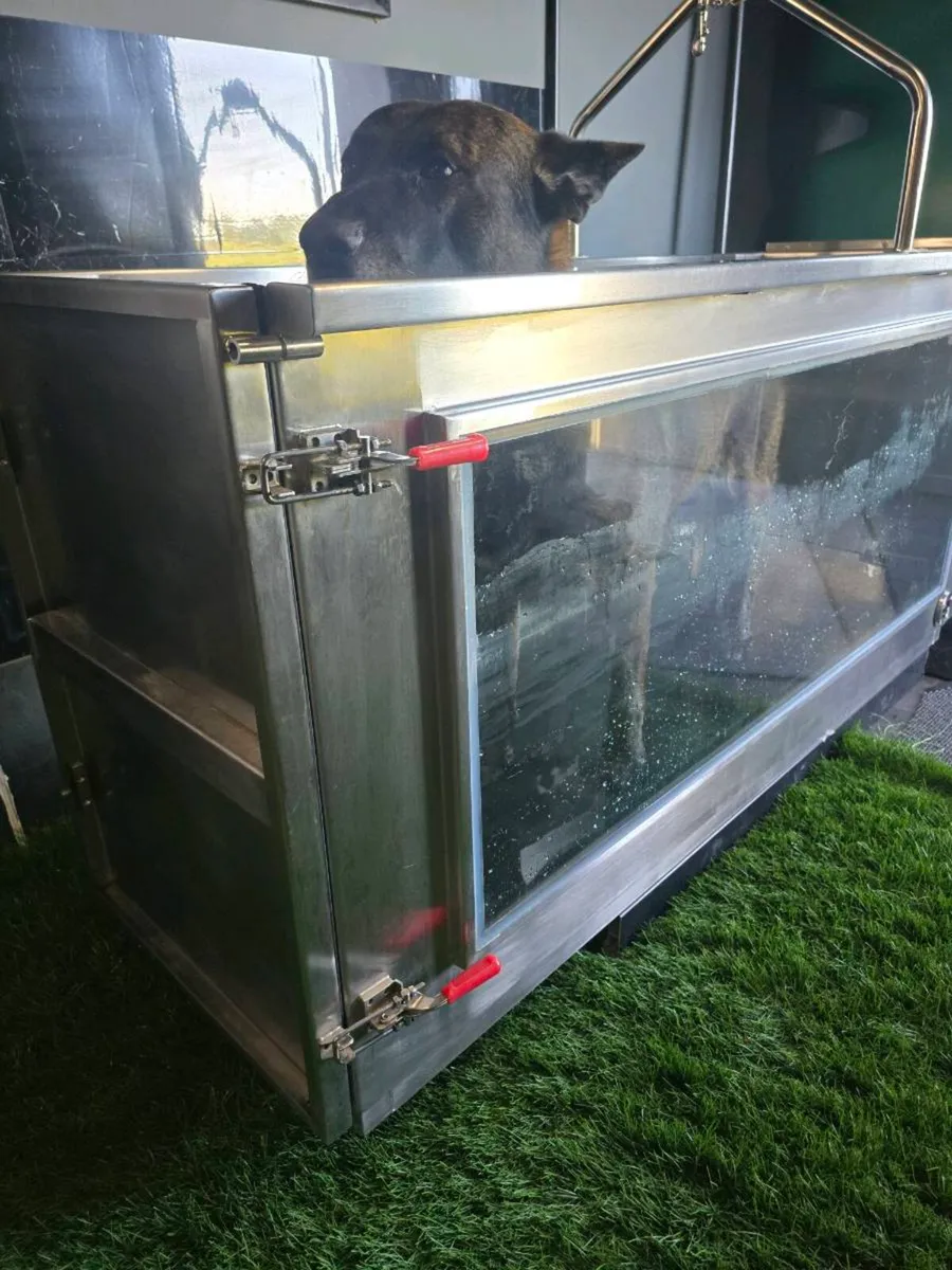 Water /Hydro Treadmill Dogs - Image 4