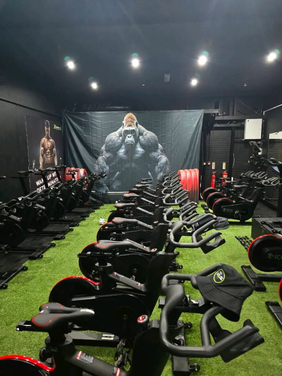 Lifefitness Ic6 Studio Bikes