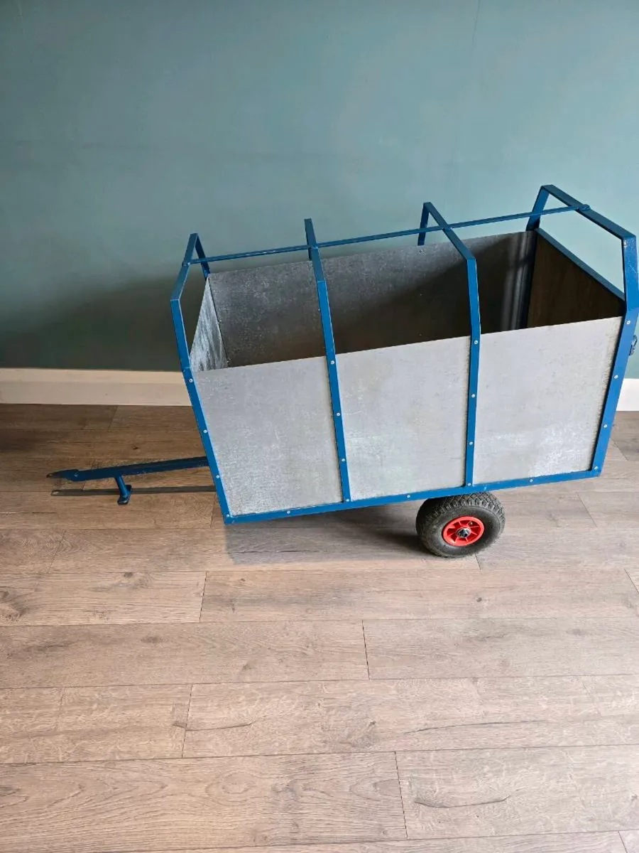 Kids trailer - Image 1