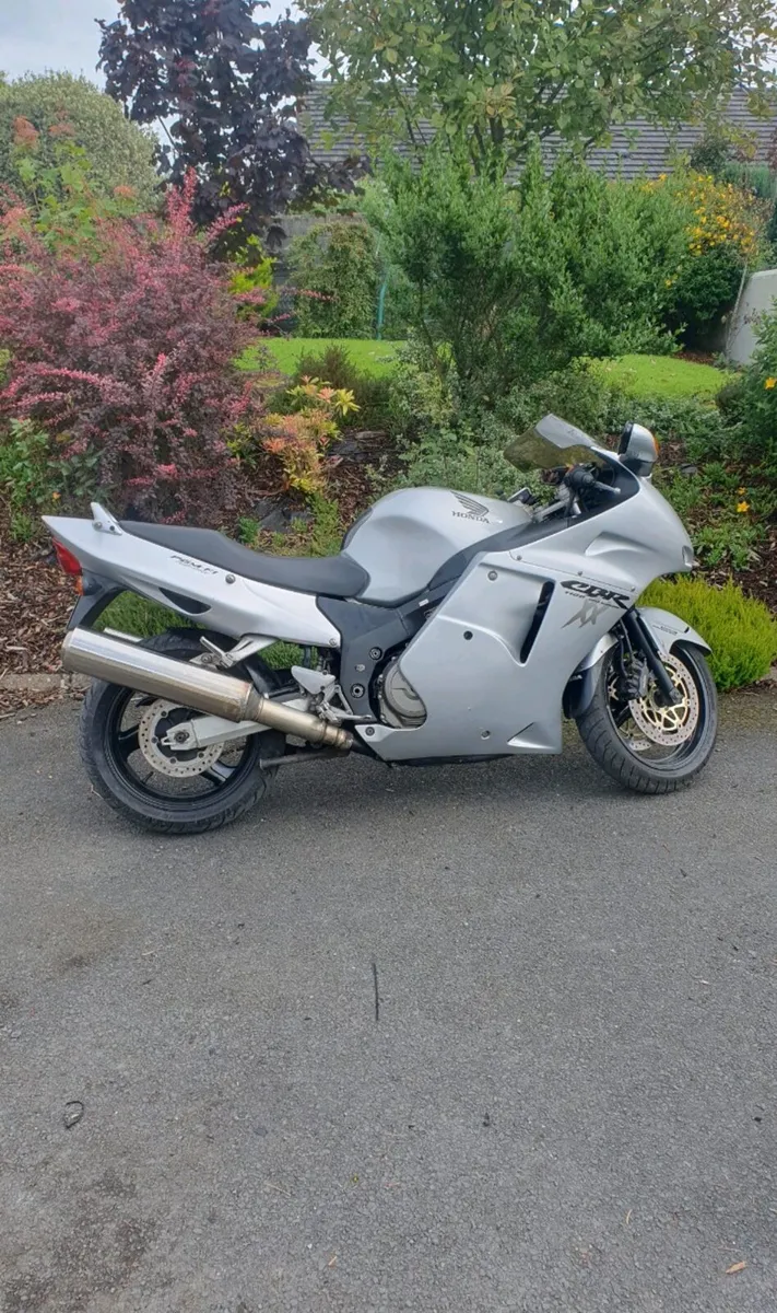 Honda blackbird cbr1100xx - Image 4