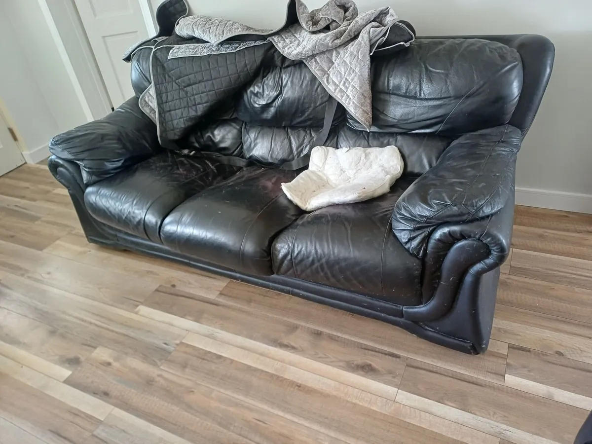 Couch - Image 2