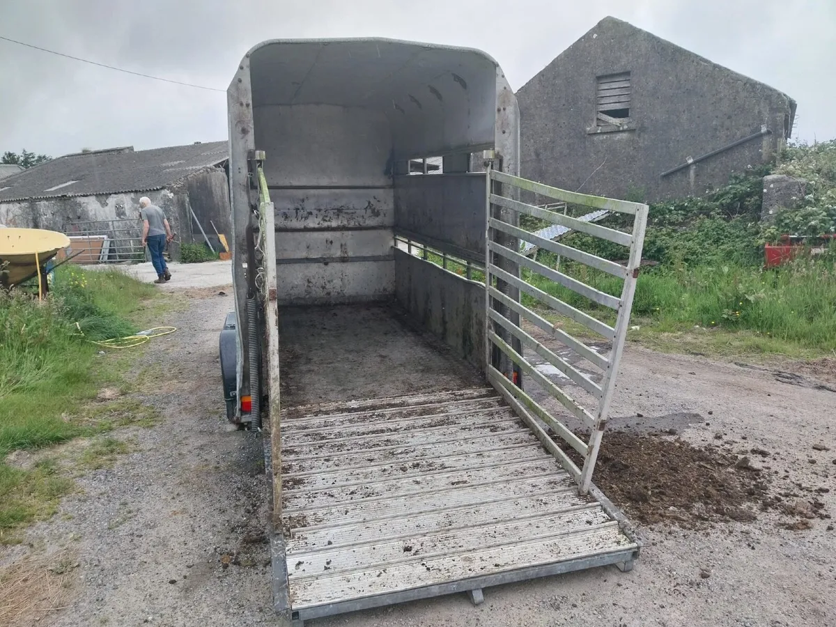Ifor Williams 10 foot x 5 foot 4 trailer - Image 2