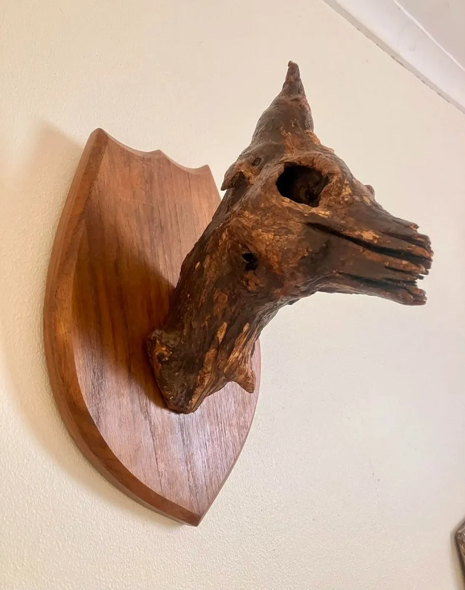 🌳🐺 Nature’s faux taxidermy!