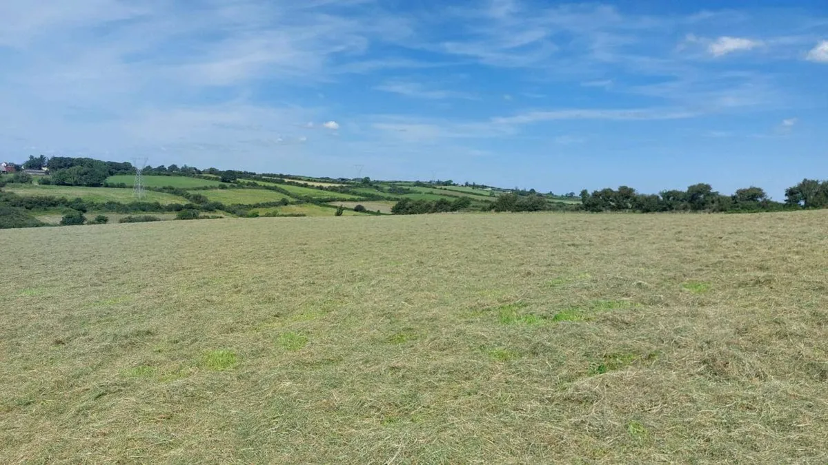 Hay - small square bales - Image 1