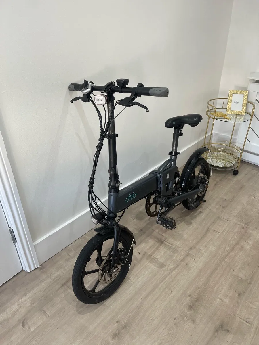 Fiido D2S Electric Bike - Image 1