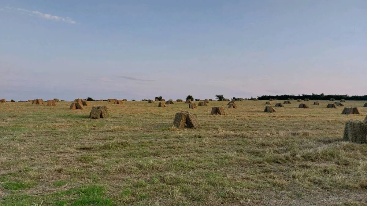 Hay - small square bales - Image 2