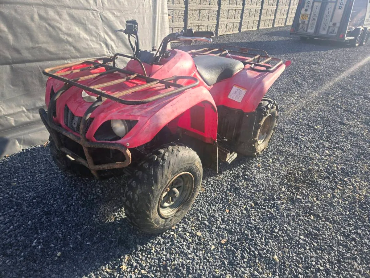 Yamaha grizzly 250 - Image 1
