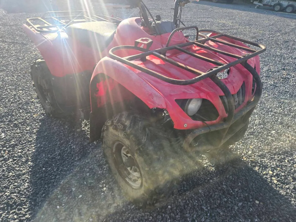 Yamaha grizzly 250 - Image 2