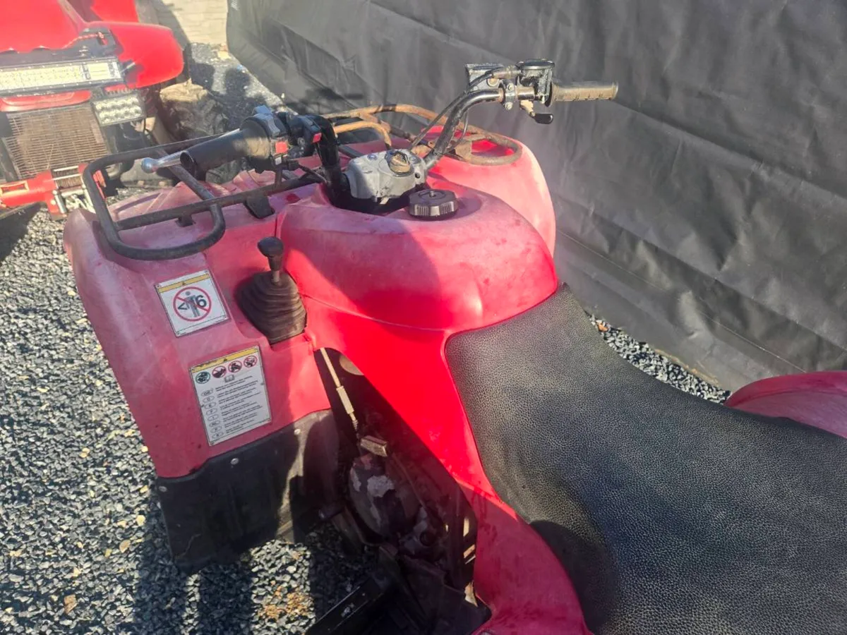 Yamaha grizzly 250 - Image 3
