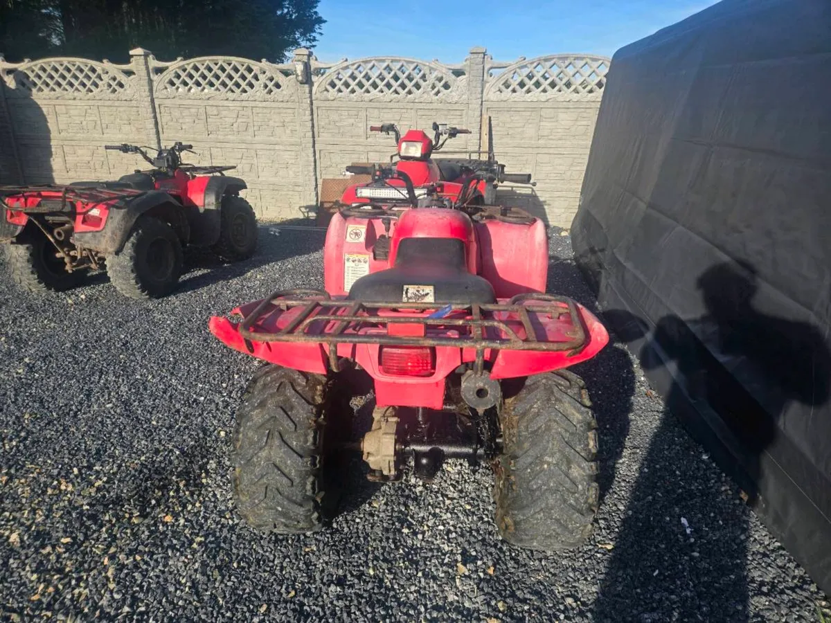 Yamaha grizzly 250 - Image 4
