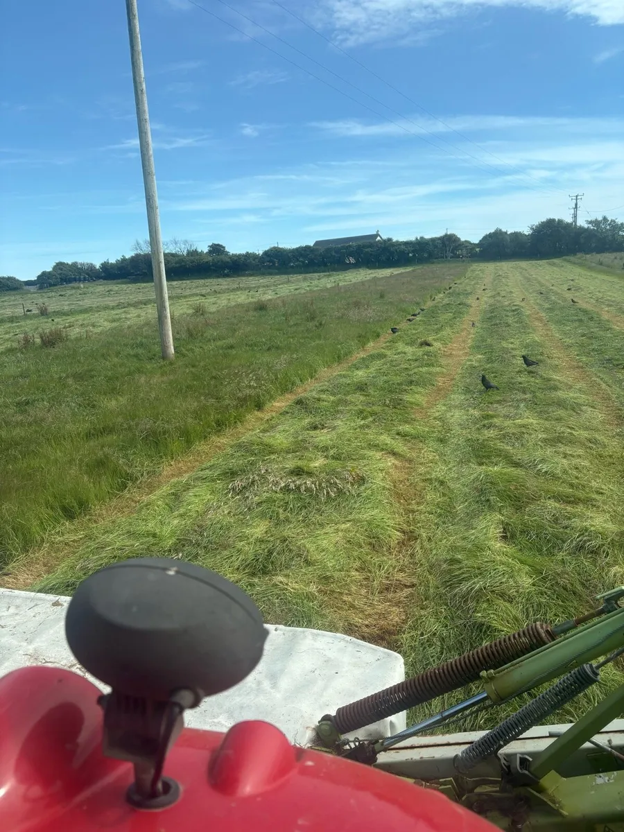 Silage bales - Image 4