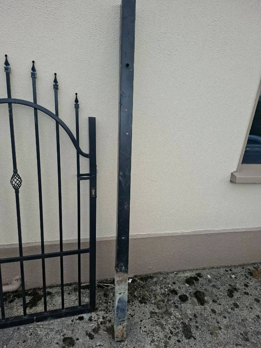 Pedestrian gate - Image 1