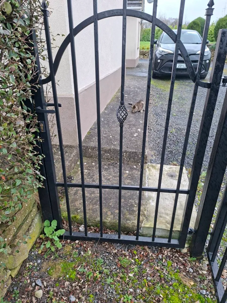 Pedestrian gate - Image 3