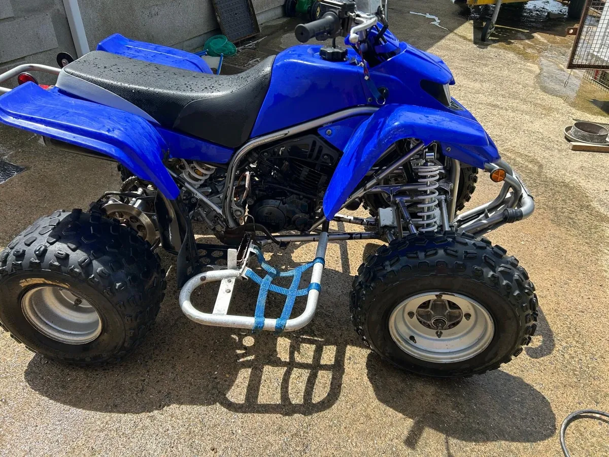 Yamaha Blaster 200 - Image 2
