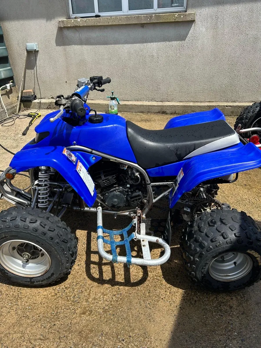 Yamaha Blaster 200 - Image 3