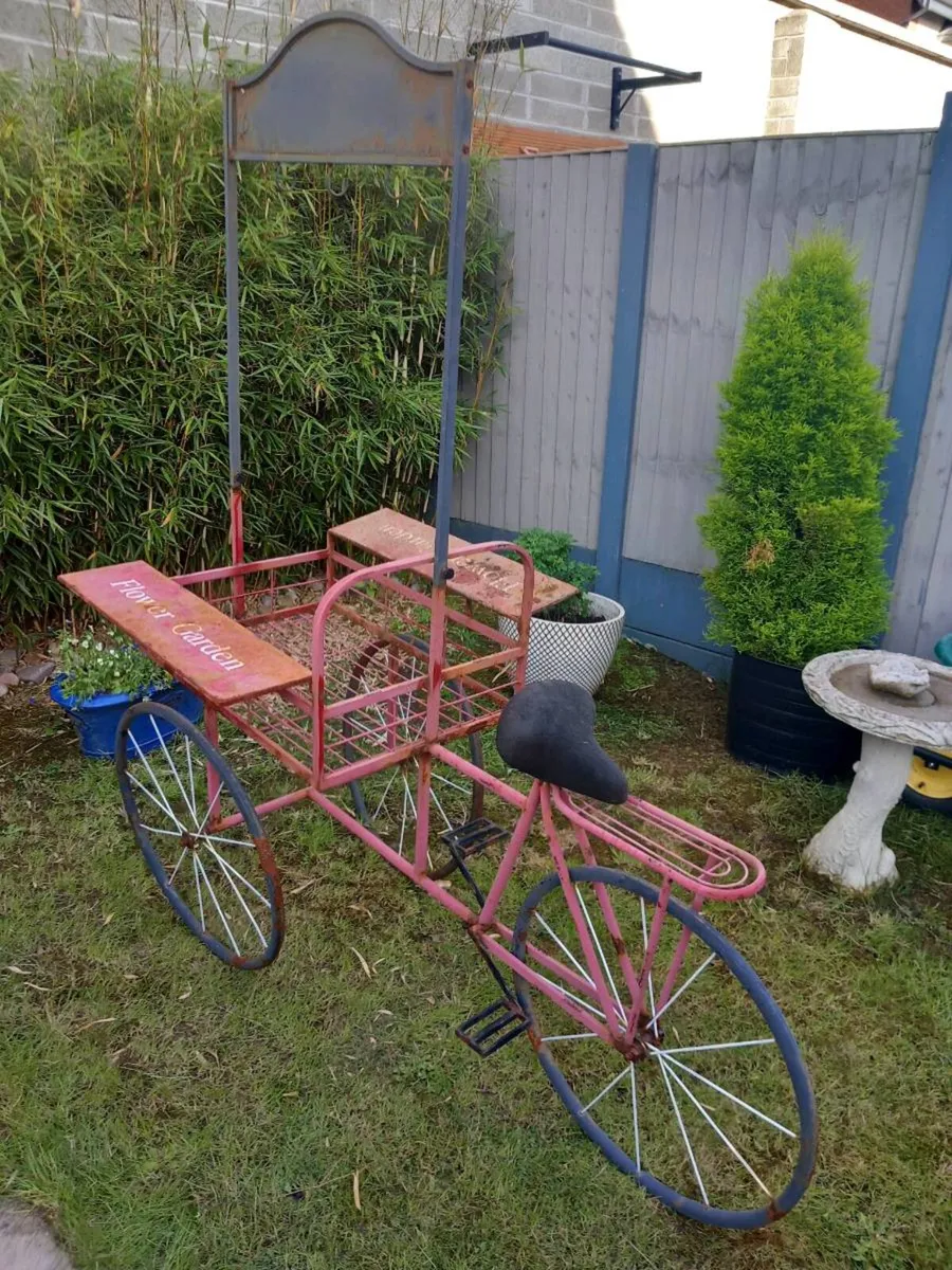 Garden centre bicycle, talking point, D18 - Image 1