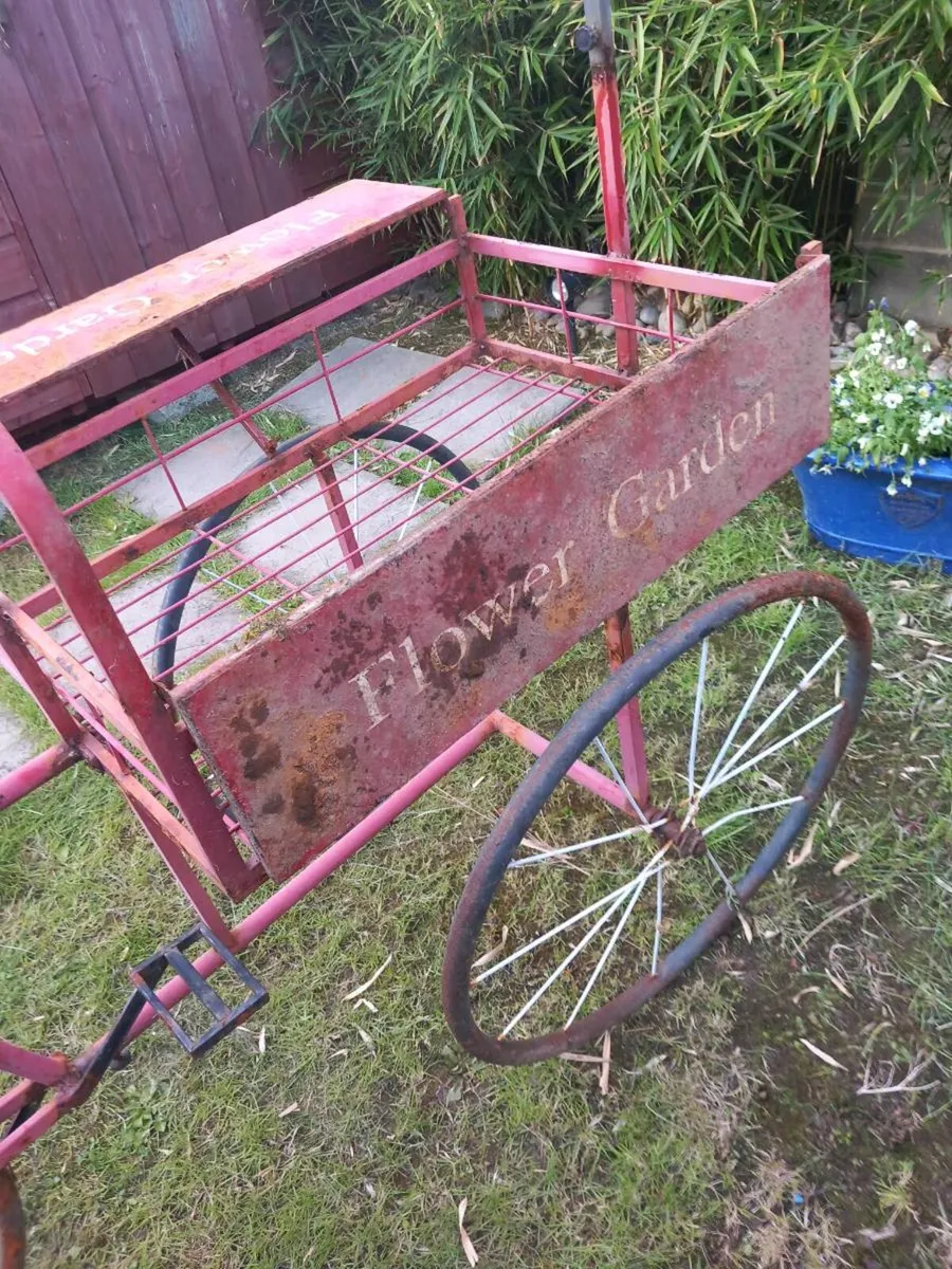 Garden centre bicycle, talking point, D18 - Image 4