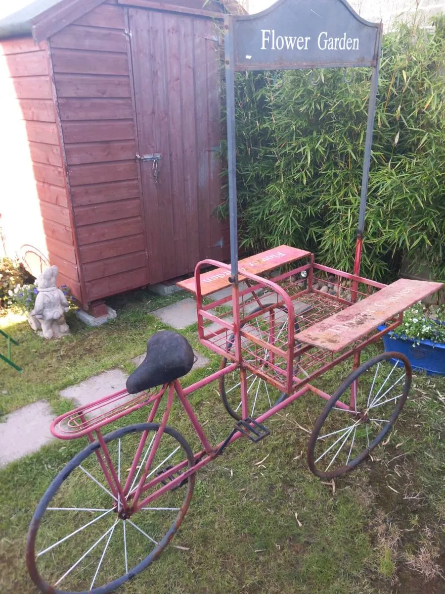 Garden centre bicycle, talking point, D18 - Image 2