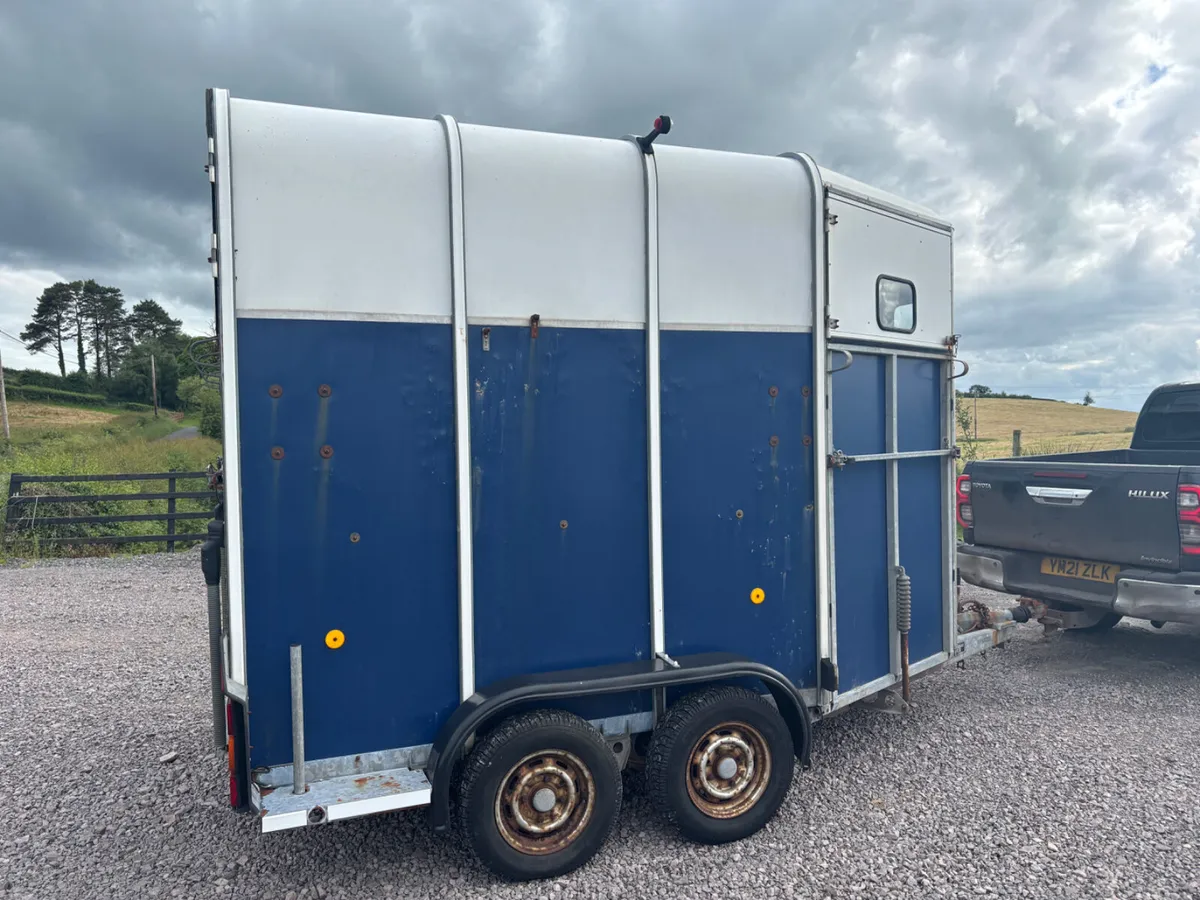 Ifor willams 510 horsebox - Image 2