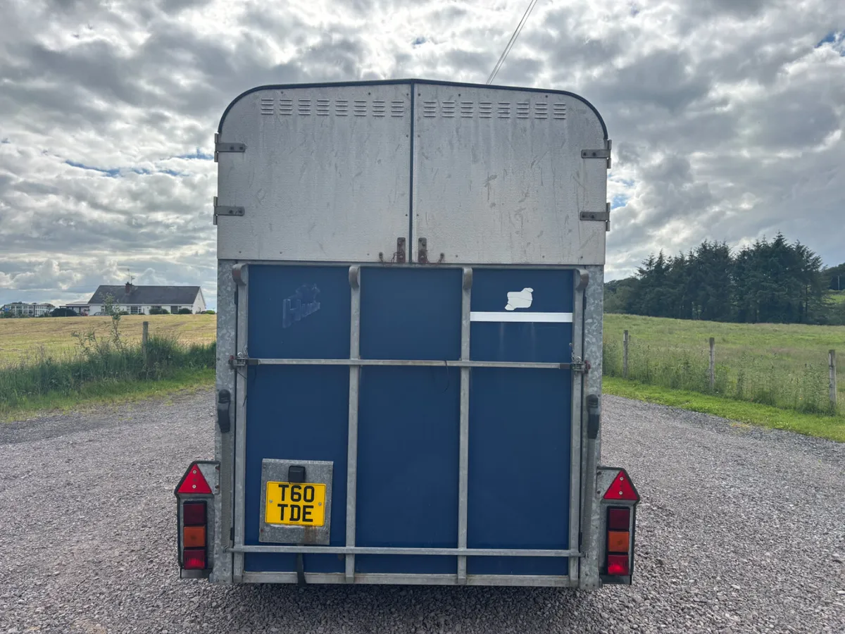 Ifor willams 510 horsebox - Image 3