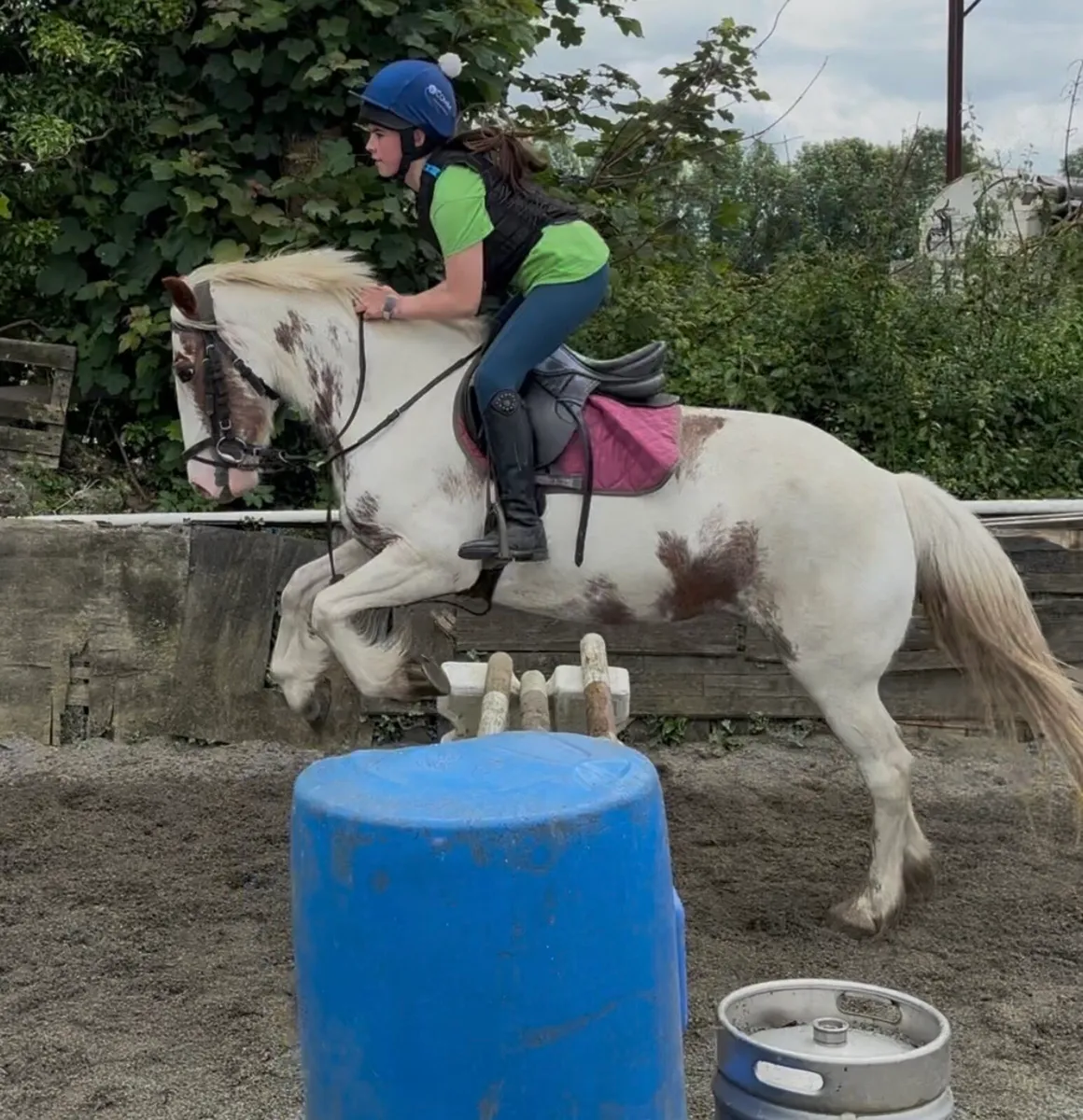 VERY SWEET 13.2  FAMILY PONY - Image 3
