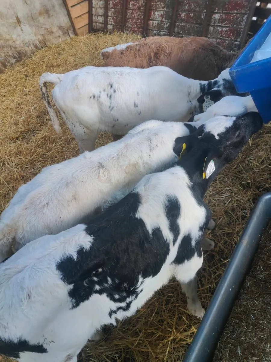 Best value Fertiliser in Ireland - Image 2