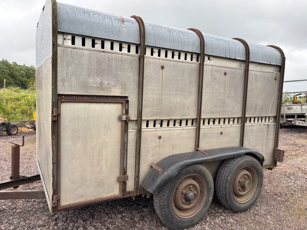 Ifor williams 12ft cattle trailers (choice) - Image 4