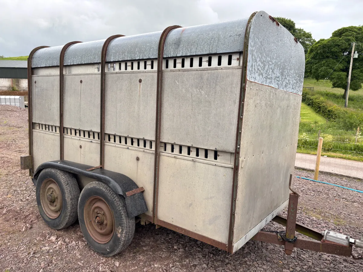Ifor williams 12ft cattle trailers (choice) - Image 3