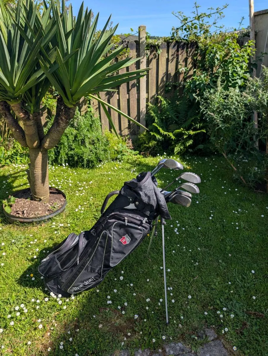 Beginner Golf clubs & Wilson staff bag - Image 1