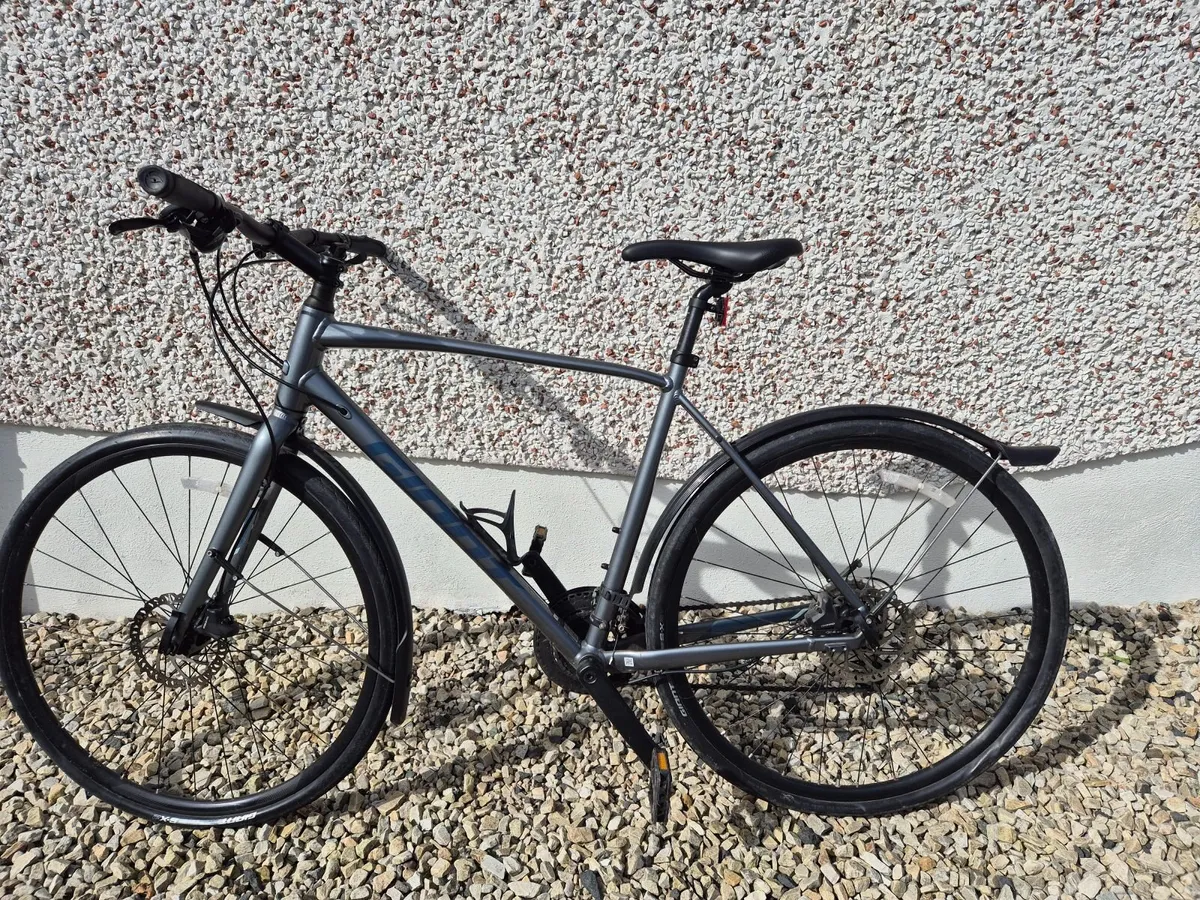 Adult full size Giant Escape road / hybrid bike. - Image 1