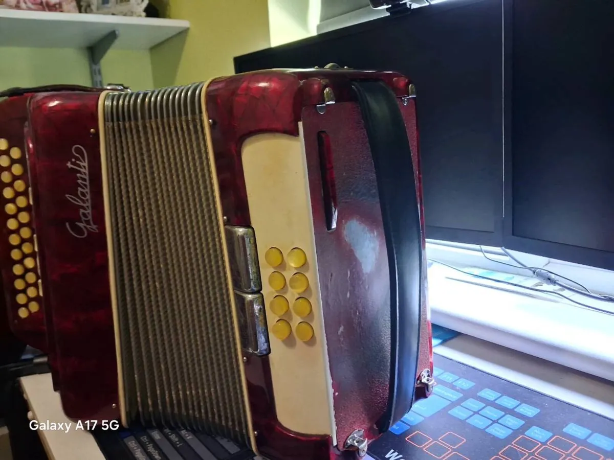 Accordion - Image 4