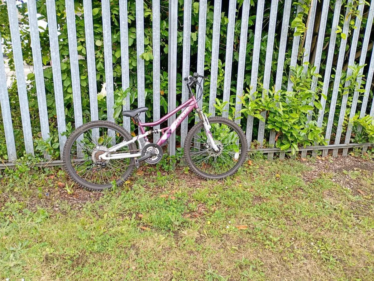 kids bike.   free - Image 3