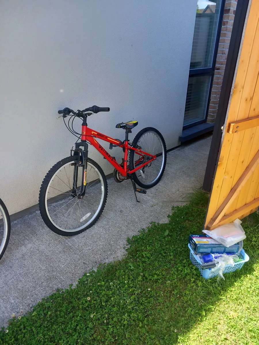 Bike - Image 3