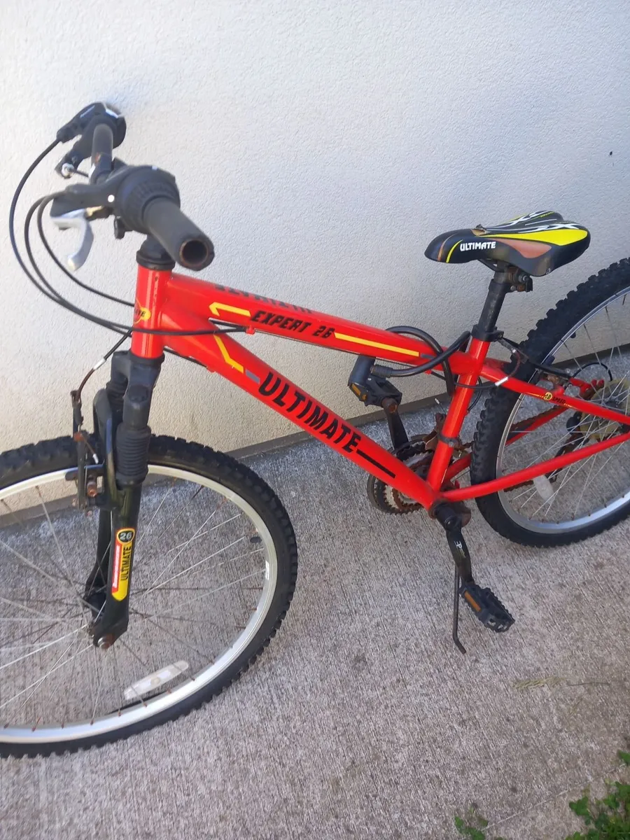 Bike - Image 2