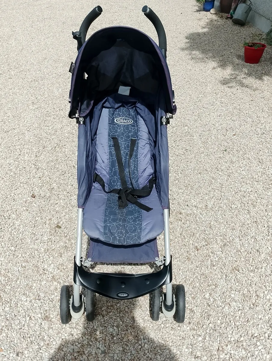 Buggy - Image 1