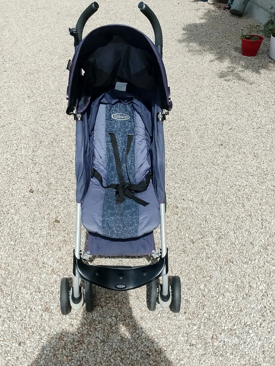 Buggy - Image 2