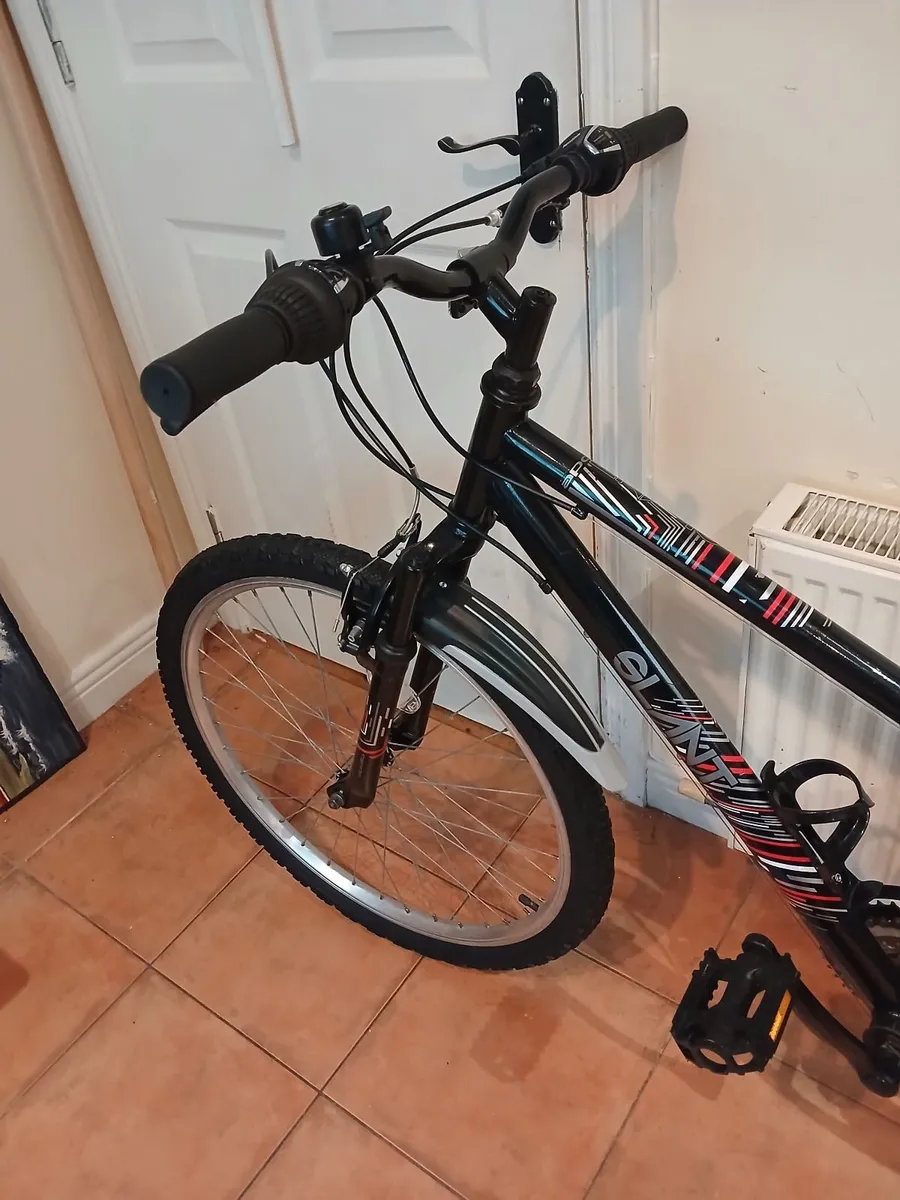 Bicycle - Image 3
