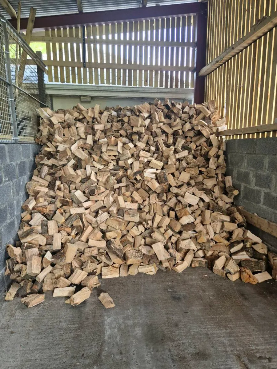 Firewood - Image 1