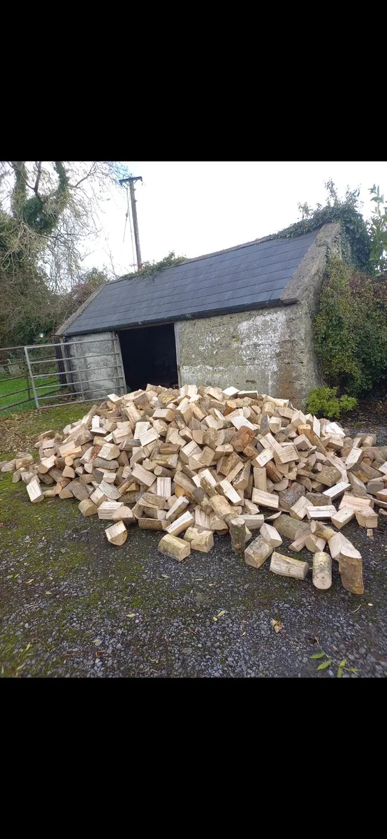 Firewood - Image 3