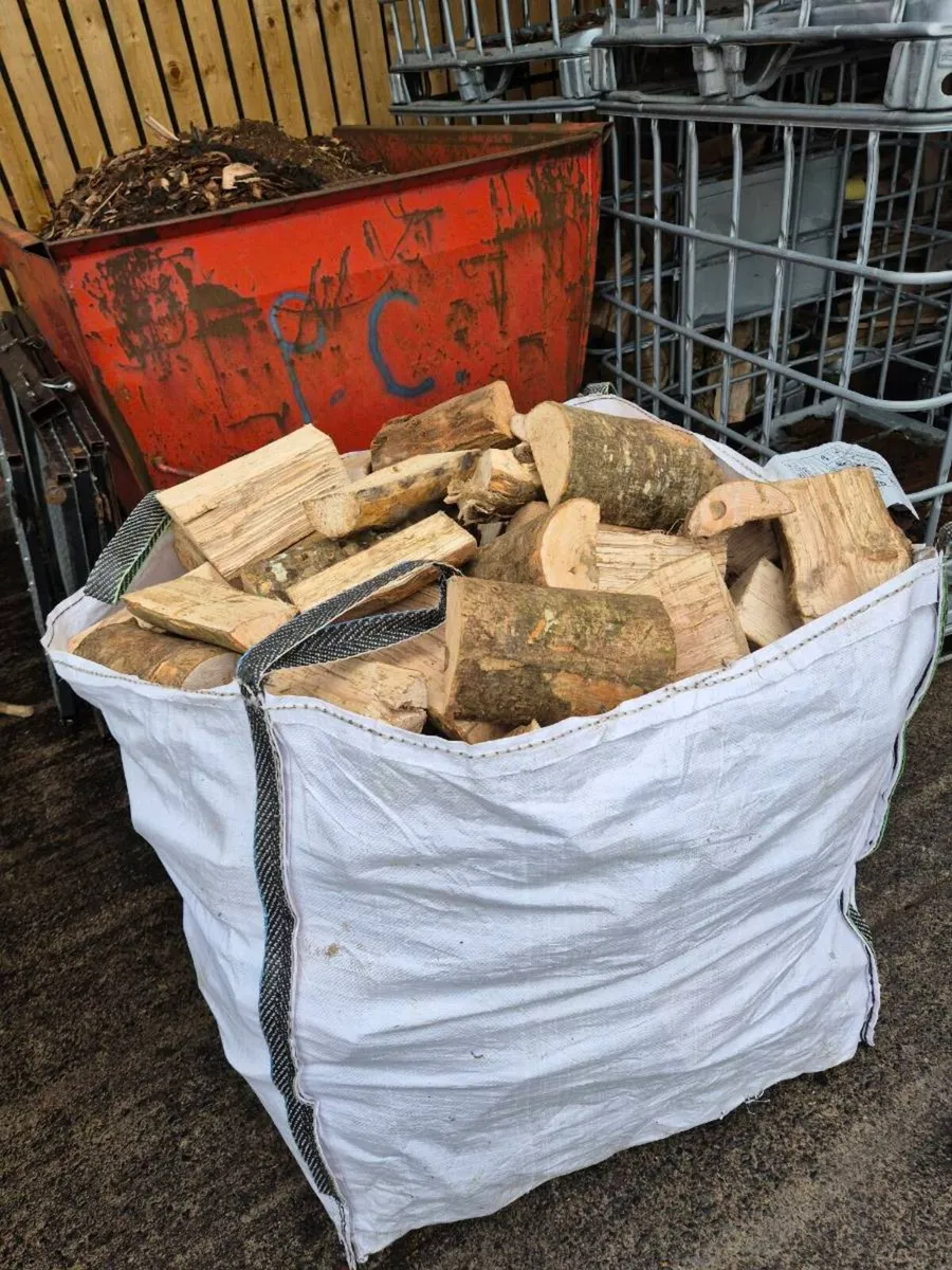 Firewood - Image 4