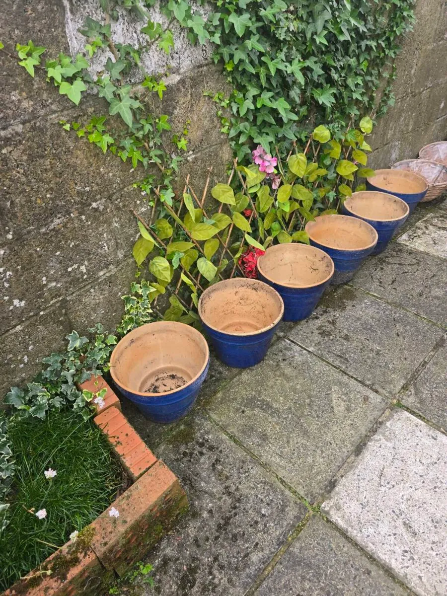 Plant pots - Image 1
