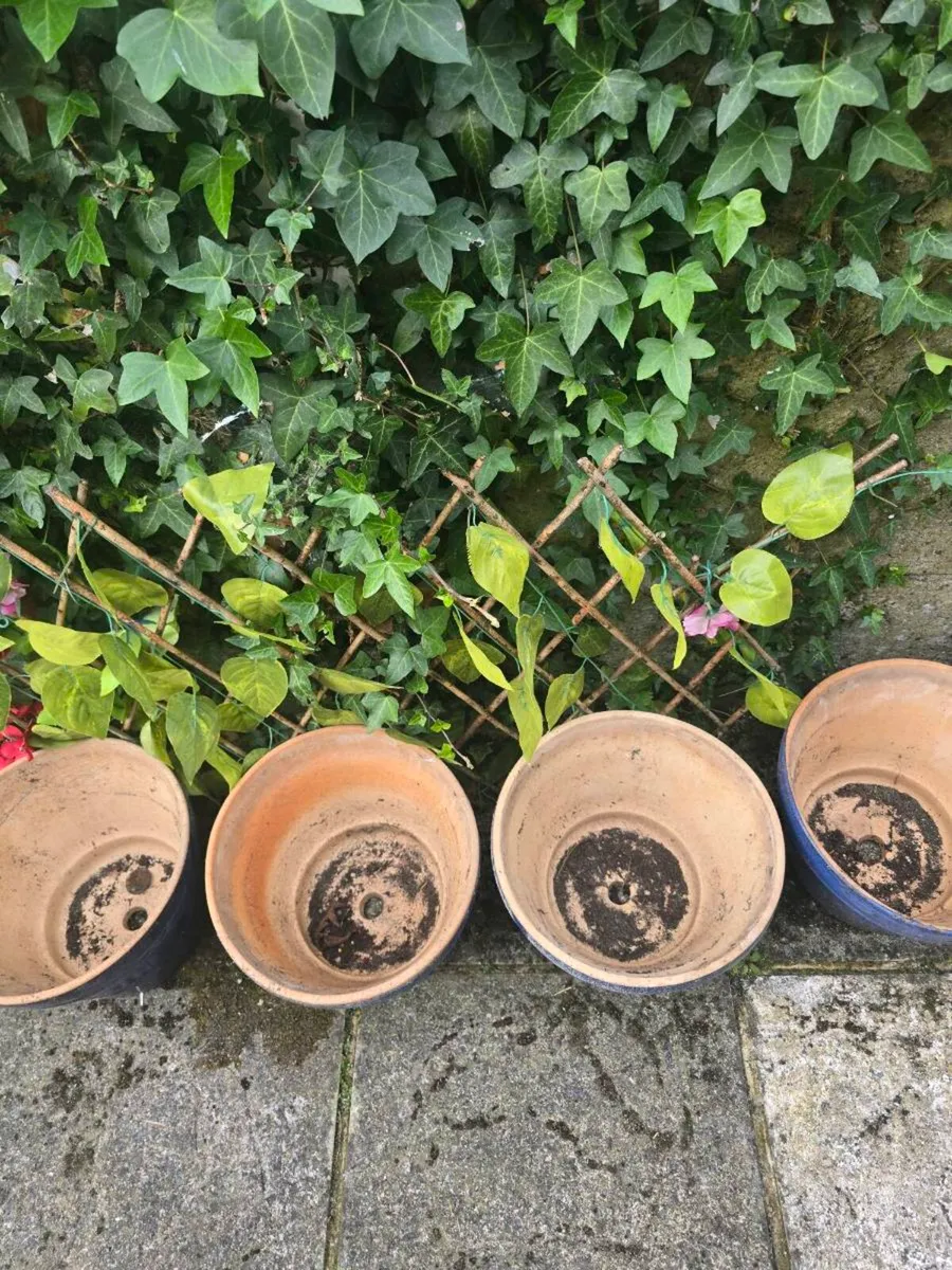 Plant pots - Image 4